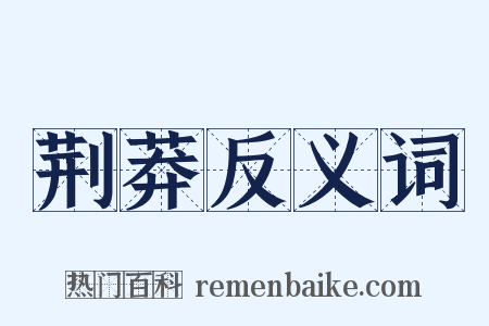 荆莽反义词是什么意思的图片